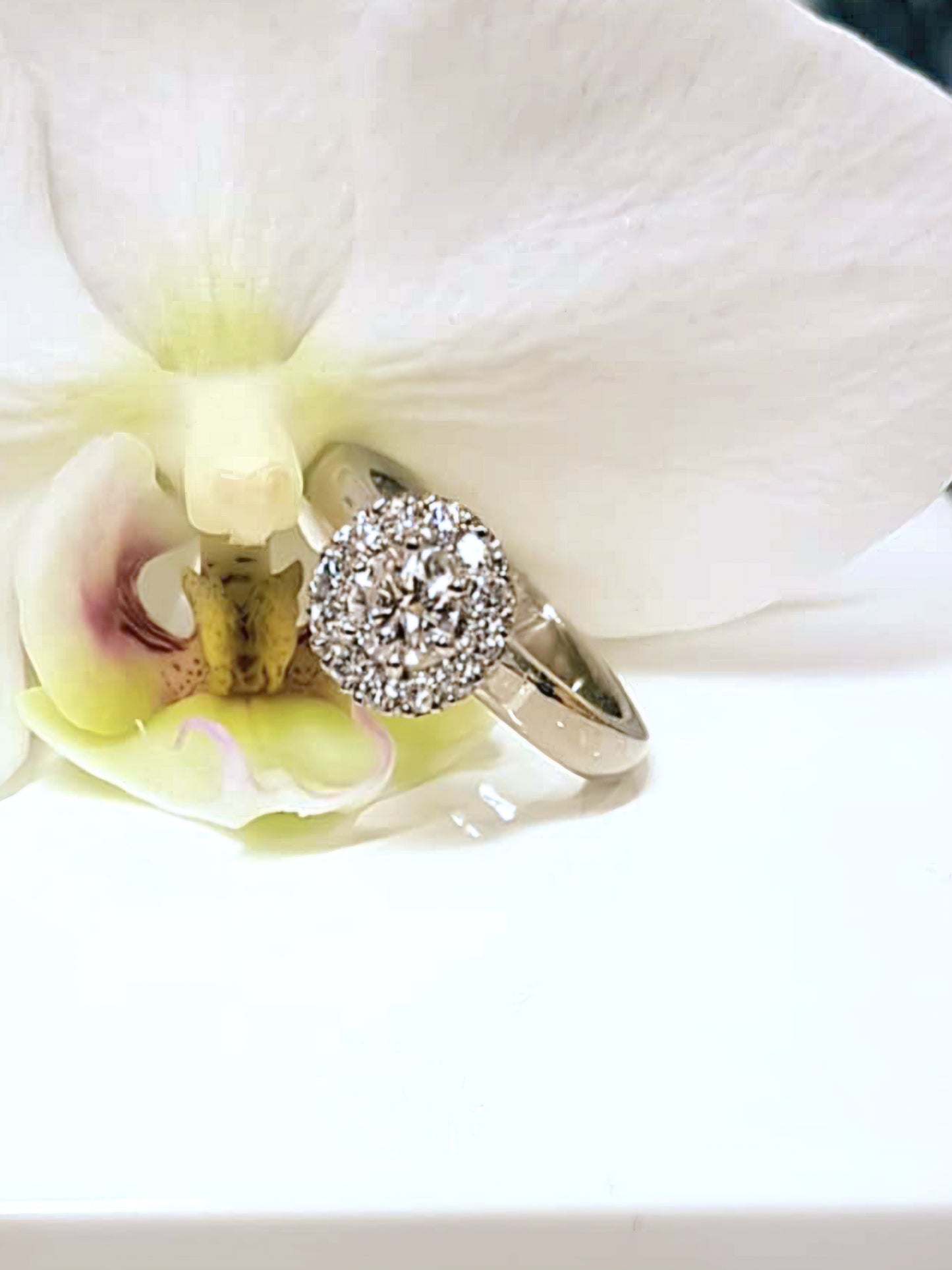 Wedding ring Princess Flying Gloria